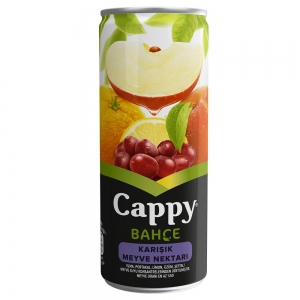 Cappy Bahçe Meyve Suyu Karışık Meyve Aromalı 250 ml