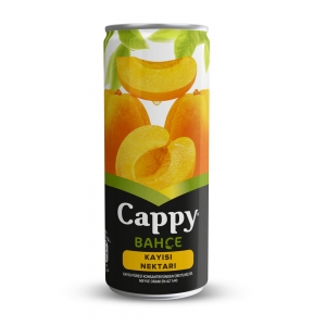 Cappy Bahçe Meyve Suyu Kayısı Aromalı 250 ml
